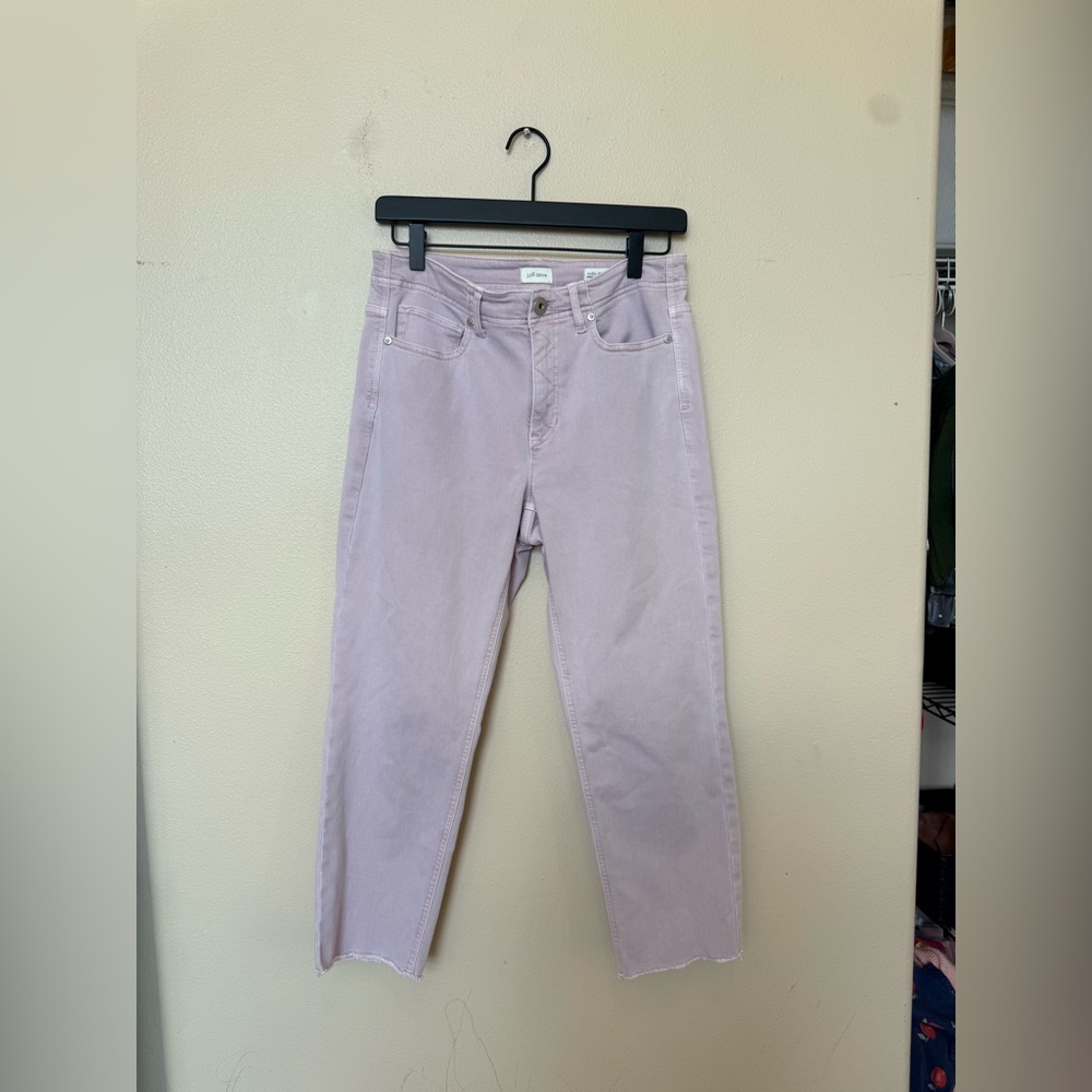 J. Jill High-Rise Straight-Leg Cropped Jeans Pale Lavender women’s size 6 petite